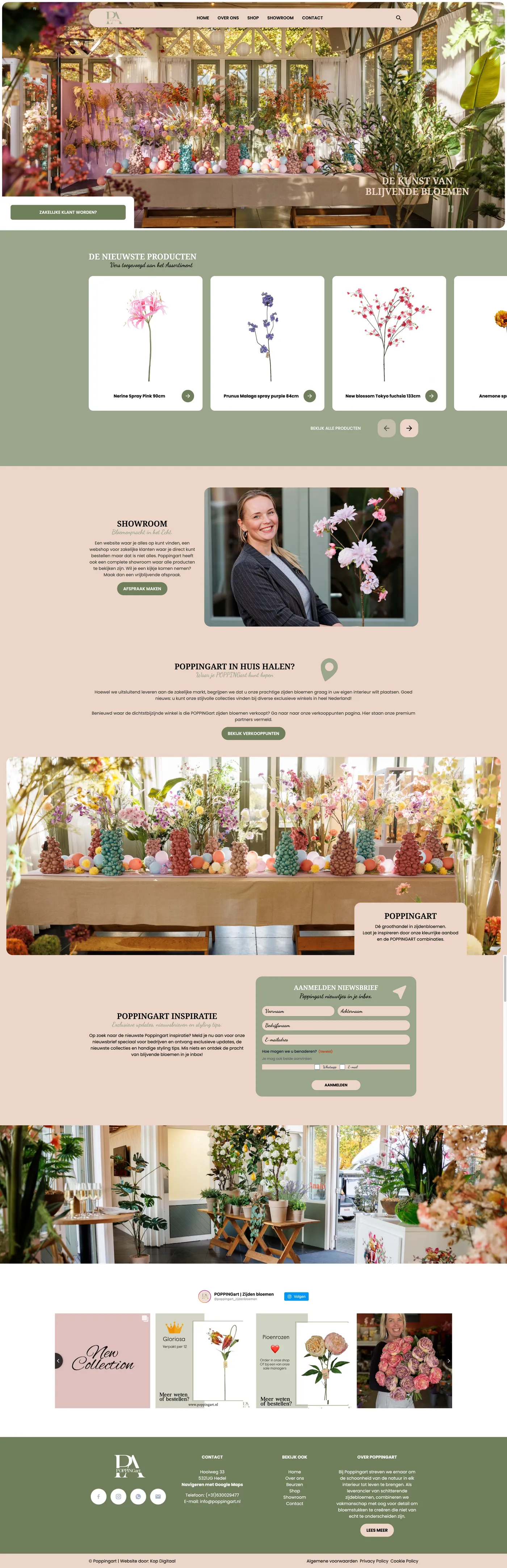Case maatwerk website poppingart