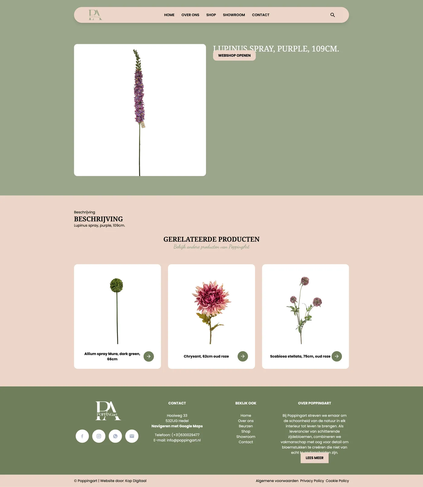 Case maatwerk website poppingart