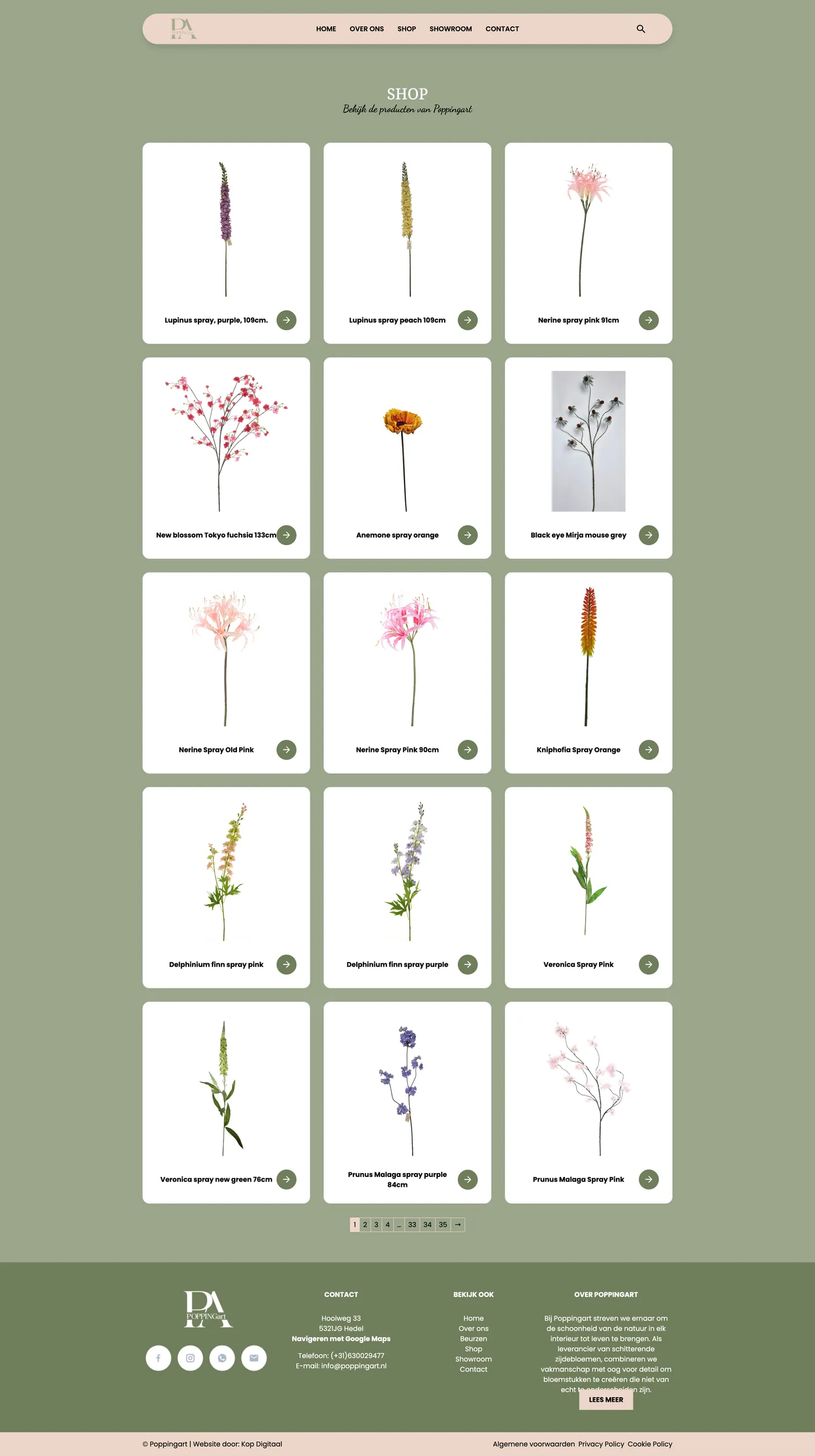 Case maatwerk website poppingart