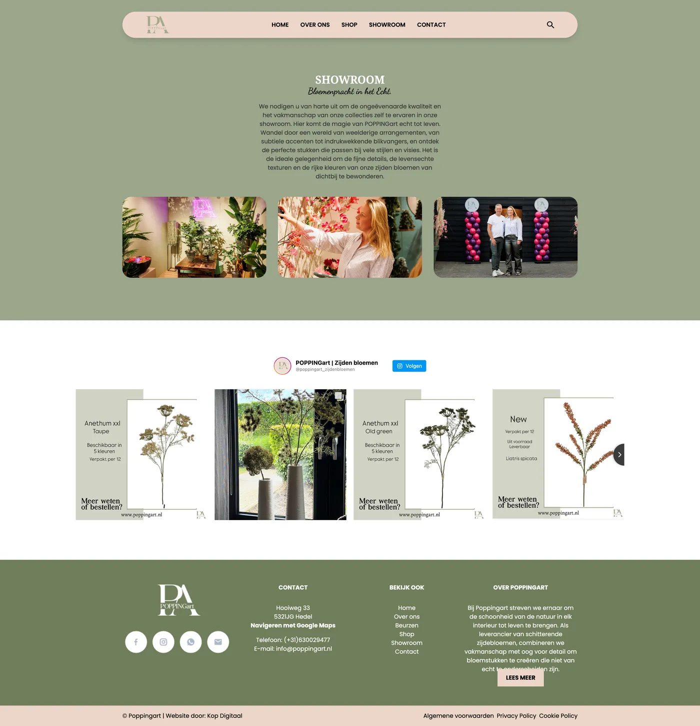Case maatwerk website poppingart
