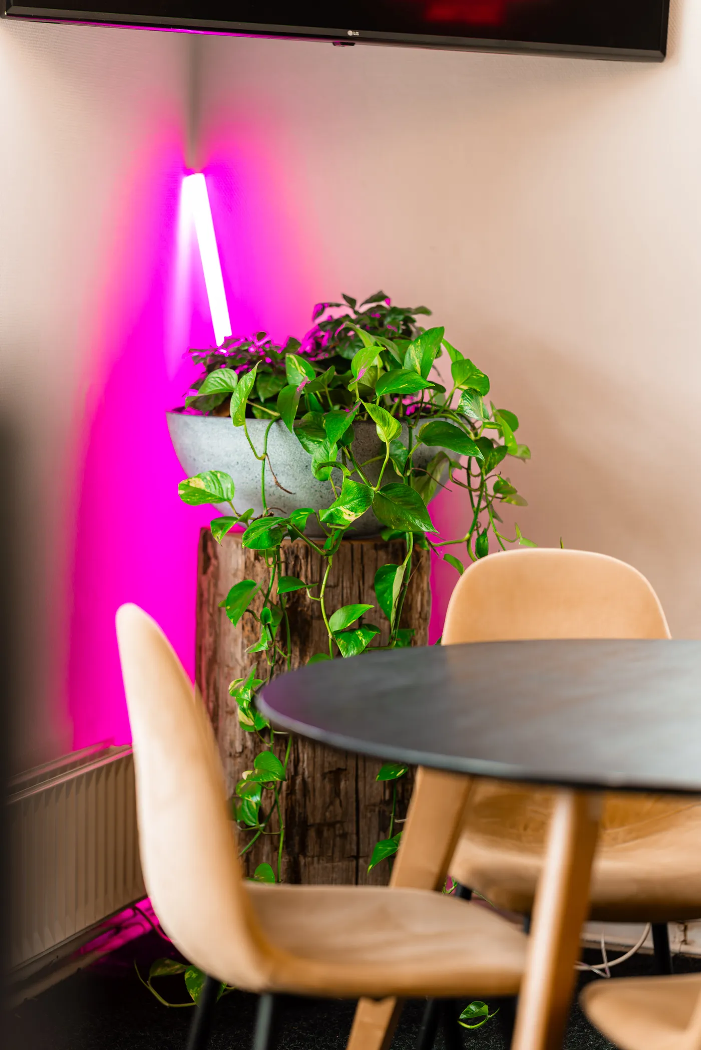 Vendure Webshop laten maken | Pink Raven B.V.