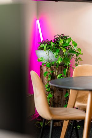 Pink Raven | Over ons - Development- Websites - Webshops - Webapplicaties